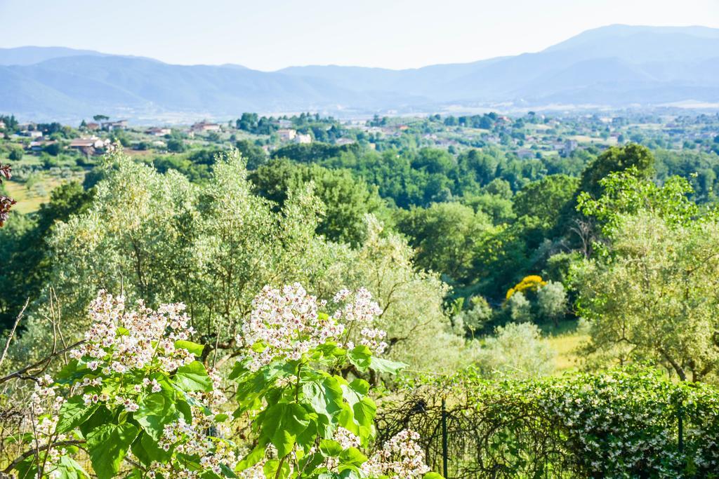 La Quiete Hotel Anagni Exterior photo